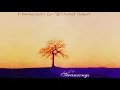 Lagu Flowing Tears \u0026 Withered Flowers — Swansongs (1996) (Full Album)
