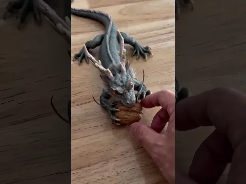 Spoiled Dragon