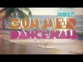 Download Lagu Dj Private Ryan - The Summer Dancehall Sampler 2013