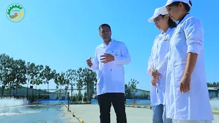 Chinobod Real biznes Dual ta'lim