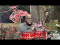 Download Lagu URGENT🚨BOTALA MINDUKI À KINSHASA EY KASHAMATA TSHIWEWE CONTINU DE RÉVÉLÉ, MACRON APPEL FATSHI...