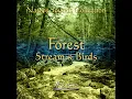 Nature Sounds Collection: Forest Stream & Birds