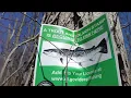 Catch-and-keep trout fishing season kicks off in Connecticut