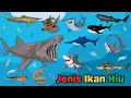 Download Lagu Belajar Mengenal Jenis-Jenis Hiu | Hiu Martil, Hiu Karang, Hiu Goblin | Learn About Sharks for kids