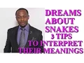 Dreams About Snakes Explained