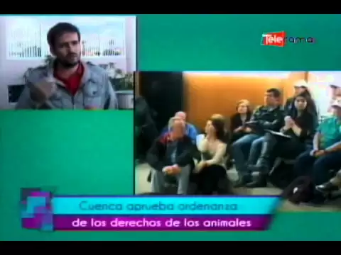 Cuenca aprueba ordenanza de los derechos de los animales