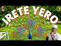 Interpretation in ifa of the sign IRETE YERO