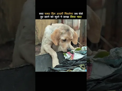 Will the stone-hearted man melt when a dog mistakes discarded food for love #shorts