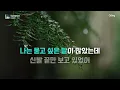 Summer - 최성윤(Y) 노래방 (원키 MR/가사) | QSing