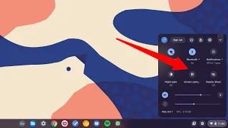 First Look - Screen Capture for Chromebook Screenshots and Screen Recording