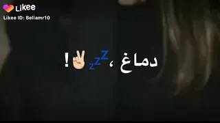 اغنية طب ناسي العيشة   دندنها