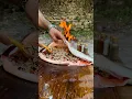 Download Lagu Balıklı Pilav - Fish Rice