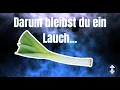 Download Lagu Wegen dieser Ausreden bleibst du ein Lauch