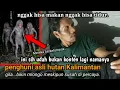 Download Lagu HORROR//WUJUD ASLI PENGHUNI HUTAN BIKIN KAGET WALAUPUN SUSAH DI PERCAYA.. BIKIN MERINDING..
