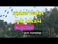 Download Lagu SUARA WALET CEKLOK respon cepat tanpa iklan 1