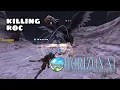 FFXI Classic HorizonXI - Killing Roc