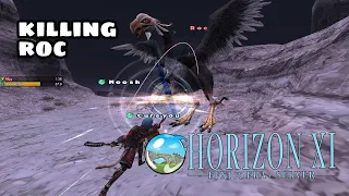 FFXI Classic HorizonXI - Killing Roc
