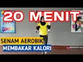 Download Lagu SENAM AEROBIK Mudah Diikuti Membakar Lemak | 20 MENIT Gerakan