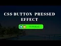 CSS button animation - Pressed Effect
