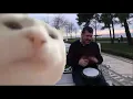 Download Lagu Cat Vibing to Ievan Polkka Street Drummer Meme Template Download | Cat Vibing Meme | Funny Videos