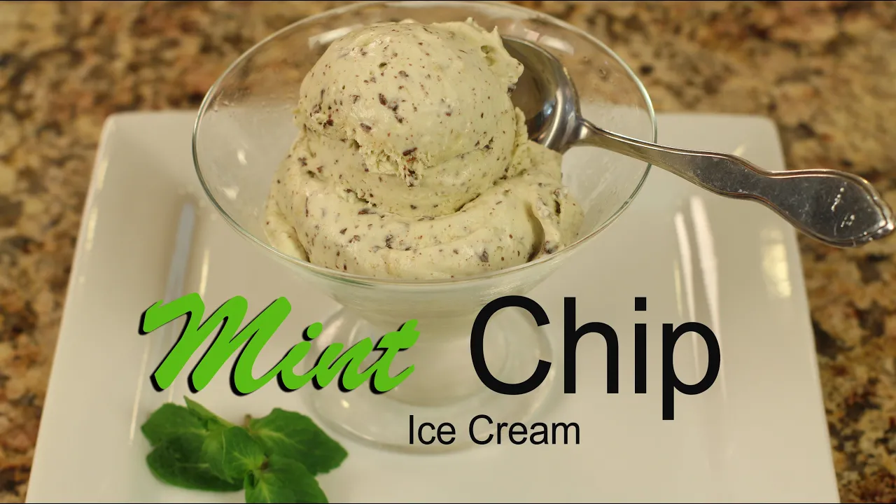 Healthy Mint Chocolate Chip Ice Cream With All Natural Ingredients   Rockin Robin