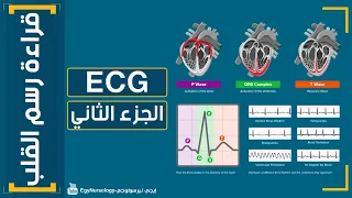 شرح قراءة رسم القلب ECG الجزء الثاني EgyNursology 