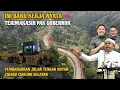 Download Lagu JABAR ISTIMEWA  Bukan hanya dekat kota Jalan tengah hutan CIKADU cianjur selatan juga di bangun