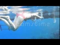 Lagu Girl In Bikini Snorkeling Stock Footage   Video  43093578
