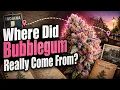 Where Did Bubblegum Really Come From