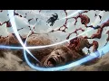 Promise Levi vs Beast Titan Live-Action Adaptation