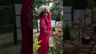 И В ЧЕМ БАБУЛЯ НЕ ПРАВА?!😂
