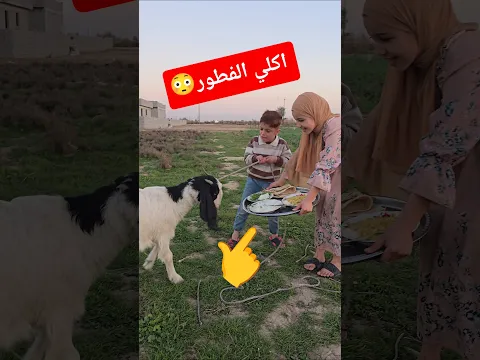 كنان وصديقته ينطون الفطور للحيوانات😳 شوف داود شسوه😱 #اكسبلور #funny #تيك_توك #shorts #داوودالمهاجر