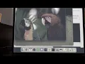 EINK Error Diffusion Dithering - The best of 2 worlds
