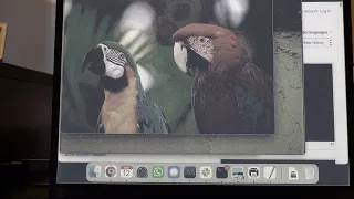EINK Error Diffusion Dithering - The best of 2 worlds
