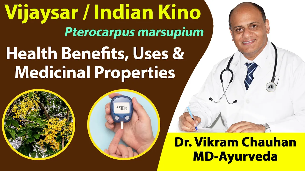 Watch Video Vijaysar, Indian Kino - Health Benefits, Uses & Medicinal Properties of Pterocarpus marsupium