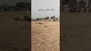 داند خان وریام Newmusic Cooking Naturalhorsecare Newmusicrelease Horsemilk Cow 