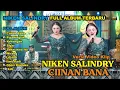 Download Lagu FULL ALBUM NIKEN SALINDRY || CIINAN BANA || TERBARU TERBAIK TRENDING 2024
