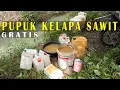 Download Lagu Dosis Yang Tepat Dalam Menggunakan Pupuk Organik Untuk Kelapa Sawit