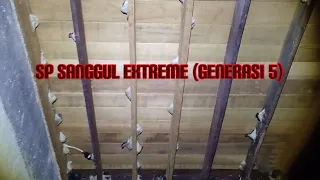 sp sanggul extreme generasi 5 suara dengan respon terbaik dari pusaka walet