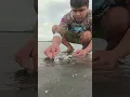 Download Lagu 2 Squid Heads in the Sand — But Where Are Their Bodies?