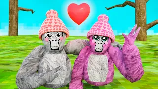 Playing Gorilla Tag with My Girlfriend