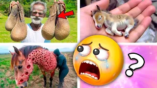 20 Cosas que NO Sabías hace 5 minutos ⏰😲