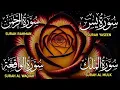 Download Lagu Surah Yaseen ❤ Surah Rahman ❤ Surah Al Waqia ❤ Surah Al mulk Soothing Quran recitation | Ep000313