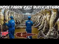 Download Lagu PROSES MENAKJUBKAN PENYAMAKAN KULIT BUAYA | DARI PETERNAKAN HINGGA PRODUK MEWAH