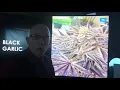 Black Garlic weed strain review puff with the ceo WeedStream
