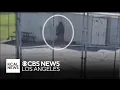 DHS investigating allegedly showing agents urinating in Pico Rivera high school s parking lot