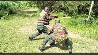 karate kata and self defence techniques 