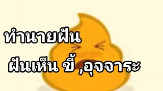 ทำนายฝัน ฝันเห็นขี้  อุจจาระ