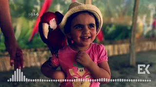 عماد كمال أيلا Emad Kamal Ayla 