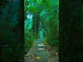 Download Lagu 🍂Sometimes we forget why we are working! ~ Just for a peaceful life🌿 .